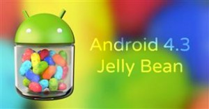 jellybean (Mobile)