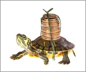 Funny turtle carrying a stack of money savings to the bank