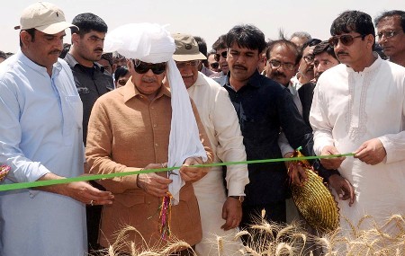 Px25-054
BAHAWALPUR: Apr25 - Chief Minister Punjab Shahbaz Sharif cutting a ribbon to inaugurate wheat harvesting in the area of Tamewali.
ONLINE PHOTO by Rashid Hashmi