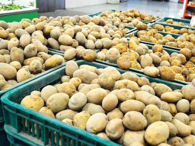 After strong growth, South African potato exports down 18%