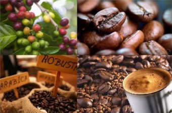 Brazil approves coffee import from Vietnam