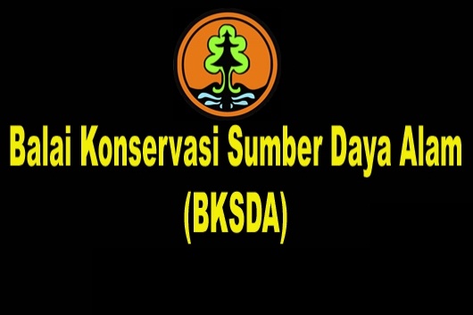 BKSDA seizes protected wildlife from foiled smuggling attempts