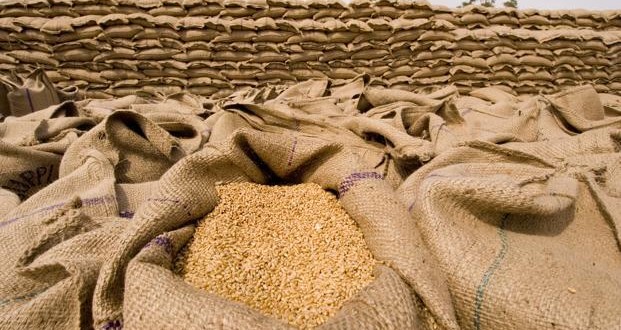 Ukraine exports 29.4m tons of grain since start of 2016/2017 agri-year