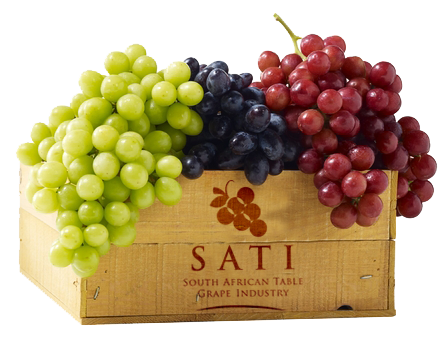 South African grape export rises to 65.4m cartons, marks record