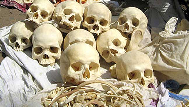 Indian police nabs four involved in human skeleton smuggling
