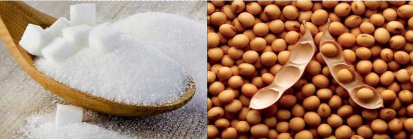 Ukraine’s soybean, sugar exports rise in 2017