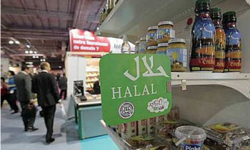 Halal food - Halal foods - export