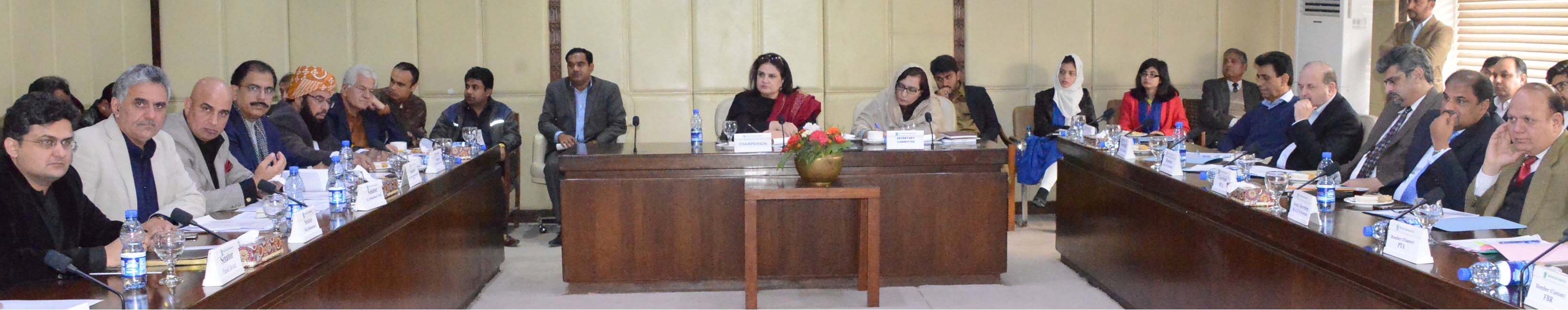 SENATOR RUBINA KHALID, CHAIRPERSON SENATE STANDING COMMITTEE ON INFORMATION TECHNOLOGY AND TELECOMMUNICATION PRESIDING OVER A MEETING OF THE COMMITTEE AT PARLIAMENT HOUSE, ISLAMABAD ON JANUARY 15, 2019.