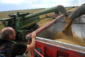 A farmer supervises the loading of grain into a truck which will then be transported to a grain elevator in Kharkiv Oblast’s Krasnogradsky district on July 25, 2018.
