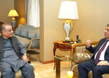 Ambassador of Azerbaijan Khazar Farhadov called on the Federal Minister for Privatisation, Investment Board and Communications Abdul Aleem Khan in Islamabad on 27th June,2024.
