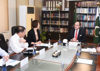 Federal Minister for Finance & Revenue Senator Muhammad Aurangzeb in a meeting with the President and CEO Ms. Zhang Lei and other executives of Pak Matiari-Lahore Transmission Company (PMLTC) in Islamabad on 9th July, 2024.