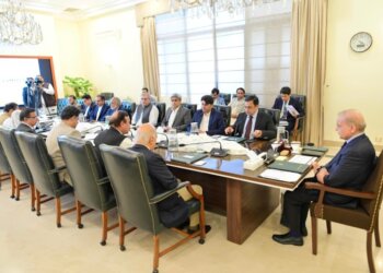Prime Minister Muhammad Shehbaz Sharif chairs a review meeting regarding Jinnah Medical Complex in Islamabad on 2 August 2024.