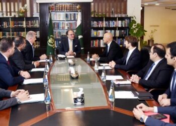 Federal Minister for Finance and Revenue, Senator Muhammad Aurangzeb in a meeting with the delegations from PARCO and Gunvor Group in Islamabad on 5th August, 2024.