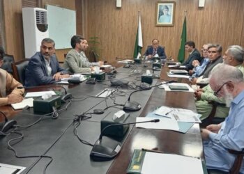 Federal Minister for Planning, Development & Special Initiatives, Ahsan Iqbal, chaired a high-level review meeting in Islamabad on Friday to address the challenges hindering the development of Gwadar Port and the Free Zone in Islamabad on October 04, 2024.